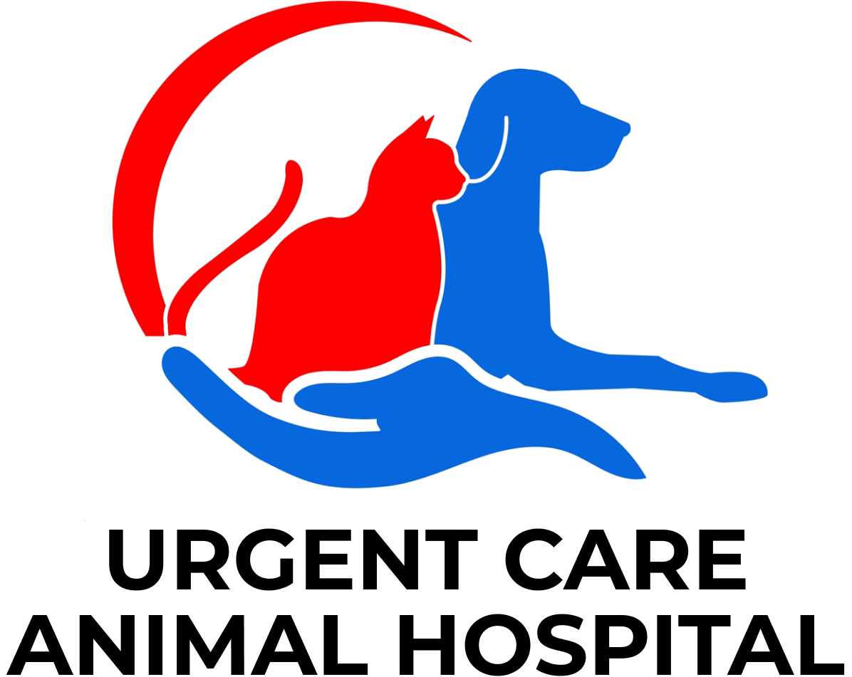 Urgent Care Animal Hospital Home