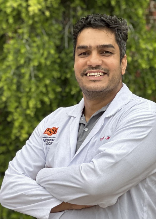 Vikas Jaglan, DVM
